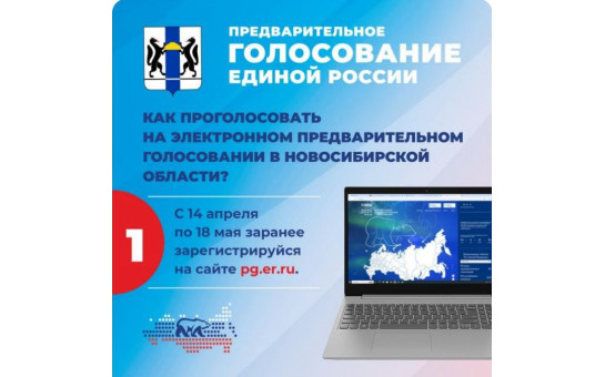 Предварительное голосование Единой России